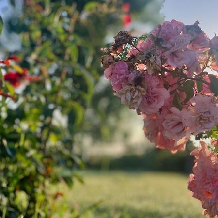 Cento Giorni B&B Costa Paestum Capaccio ภายนอก รูปภาพ